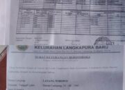 Ada Warga Langkapura , Bandar Lampung Memohon Presiden Jokowi Agar Anaknya Berumur 10 Tahun Bisa Bersekolah
