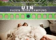 Coreng Nama Baik Almamater, Oknum Dosen UIN RIL Digerebek Warga Sedang Bermesumria Dengan Mahasiswi