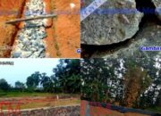 Kadis DKP Provinsi Lampung Diduga Kuat Melakukan Berkolusi Dengan Kontraktor