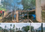 Kandang Ayam Di Sukoharjo Terbakar, Korban Rugi Ratusan Juta