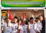 Proyek pengadaan pupuk milyaran rupiah DKPTPH provinsi Lampung diduga kuat jadi ajang korupsi sekjen laskar Lampung segera laporkan ke APH