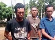 Si Abang Jago Oknum Camat Lamtim Diduga Ponakan Wakil Bupati Tampar Buruh Galian Kabel