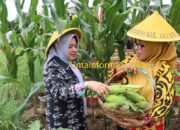 Bila Mardiana Maju Di Pilkada, Emak-emak FKWT Siap Menangkan Beliau