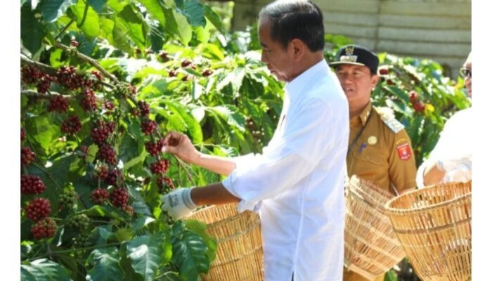 Kunker Presiden Joko Widodo Hari Ke Dua Di Lampung