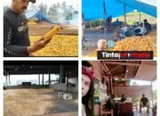 Gudang Pengolahan Jagung Cemari Lingkungan, Kabid dan Staf Penegakan Peraturan serta Penyidik Pegawai Negeri Sipil Datangi Lokasi