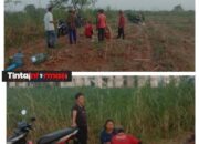 Penggarap Lahan Kotabaru Kecewa, Tanaman yang Dicabut Tiada Gantiruginya