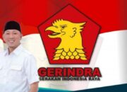 Tiktoker @pandawara Soal Sampah di Lampung Dirasa Jadi Tamparan Bagi Ketua DPD Gerindra “Sudah Berapa Tahun Jadi Anggota DPRD Tapi Gak Melek Masalah Itu”