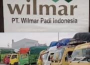 Langgar Perda No. 7 /2017, Wilmar Diduga Monopoli Pendistribusian Gabah di Lampung