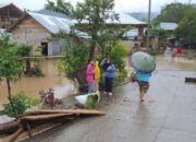 Diduga Akibat Proyek PLTM Way Semaka Meluap Rendam Puluhan Hektare Sawah dan Dua Kecamatan di Lampung Barat
