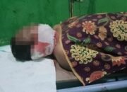 Diduga Akibat Pembagian Bansos Dua Aparatur Desa di Tikam Warga