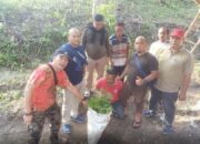 Ditresnarkoba Polda Lampung Berhasil Ungkap Ladang Ganja di Lampung Selatan