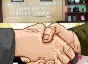 Diduga Oknum Dinas Ketahanan Pangan Tanaman Pangan dan Hortikultura Provinsi Lampung Lakukan Syarat KKN dan Terima Setoran Proyek