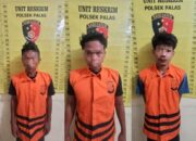 Maling Kotak Amal di Masjid, Diringkus Polsek Palas
