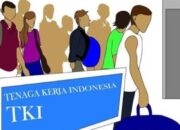 Diduga Korban Trafiking, TKI Asal Kalianda Terlantar di Suriah Minta di Pulangkan
