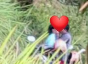 Sepasang Kekasih di Tangkap Warga Lari Tunggang Langgang “Cipokan” di Kebun PTPN 7