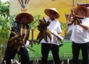 Ketua DPRD Lampung Tengah Sumarsono Panen Singkong Bersama Petani di Mataram Udik
