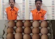 Dua Pelaku Pencuri 12 Karpet (360 Butir) Telur Ditangkap Polsek Kalianda