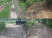 Pembangunan Jalan Pertanian Dinas Pekebunan Lampung Selatan Dituding Sebagai Proyek Siluman