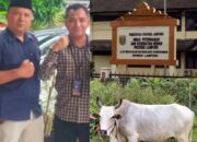 LSM PEMATANK Menduga Terjadinya Pengkondisian Dalam Pengadaan Sapi dan Kambing di Disnakwan Provinsi Lampung