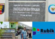 Anggaran Miliaran untuk Pembangunan di Dermaga PP Lempasing Terindikasi Korupsi