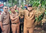 Gubernur Lampung Arinal Djunaidi : Kabupaten Lampung Timur Akan Menjadi Sentra Penghasil Kelengkeng