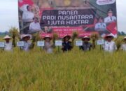 Panen Padi Nusantara 1 Juta Hektar, Lampung Timur Daerah Penyangga Kebutuhan Pangan Lampung Dan Nasional