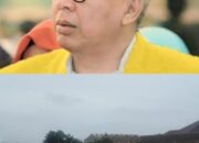 Warga Kelurahan Waydadi dan Waydadi Baru Resahkan Dampak Lingkungan dari Alih Fungsi Lahan Hutan Kota