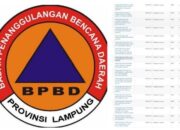 Gawat!, Proyek Sumur Bor BPBD Lampung Diduga Fiktif, Elemen Minta APH Periksa Kadis