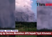 Gunung Berapi Semeru Muntahkan APG Sejauh Tujuh Kilometer