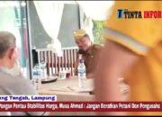 Satgas Pangan Pantau Stabilitas Harga, Musa Ahmad: Jangan Beratkan Petani Dan Pengusaha