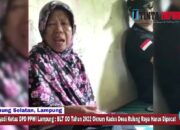 Edi Suryadi Ketua DPD PPWI Lampung: BLT DD Tahun 2022 Oknum Kadus Desa Rulung Raya Harus Dipecat 