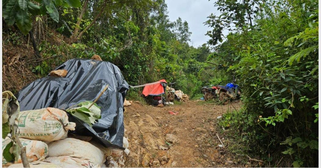 Tambang Emas Ilegal Way Kanan Bebas Beroperasi Tak Tersentuh Hukum Diduga Sengaja Dilindungi APH