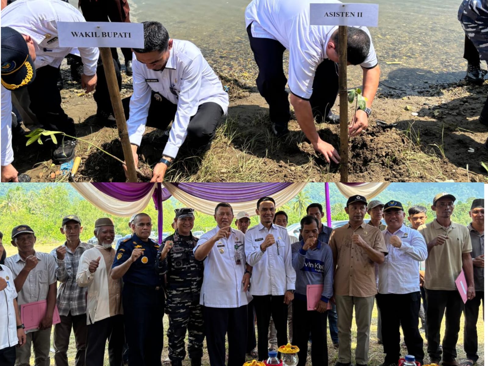 Agus Suranto Wakili Bupati Tanggamus: Penanaman Pohon Mangrove Merupakan Langkah Konkret Menjaga Keberlanjutan Ekosistem Laut