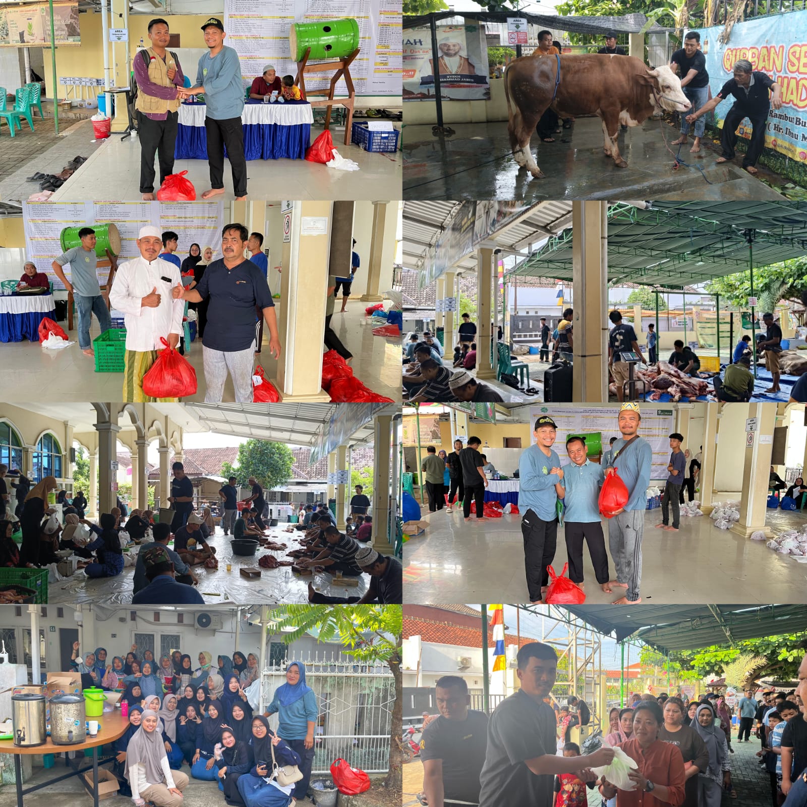 Masjid Al Iman Gedong Meneng Rajabasa Qurban 10 Sapi, 3 Kambing dan 34 Domba Dalam Perayaan Idul Adha 1446 Hijriah