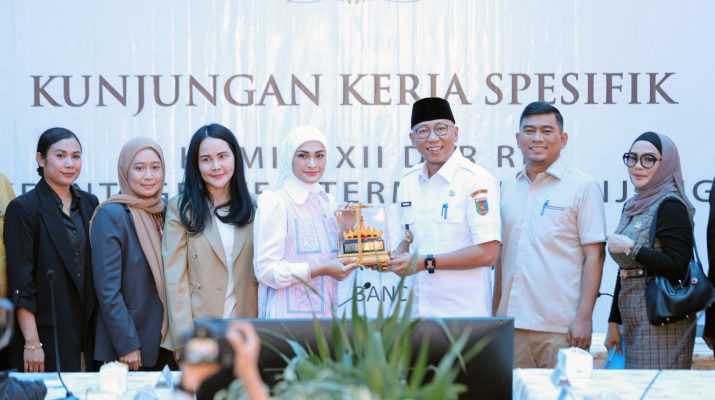 Gubernur Mirza Terima Kunker Spesifik Komisi XII DPR RI, Monitoring Kesiapan PT Pertamina Patra Niaga Hadapi Idul Fitri 2025