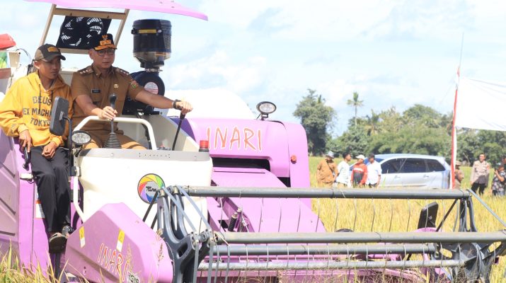 Petani Lampung Sambut Gembira Panen Raya, Pemerintah Pastikan Harga Gabah Menguntungkan