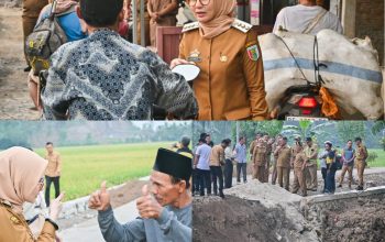 Bupati Tinjau Progres Perbaikan Jalan Penghubung di Way Khilau: Ditargetkan Rampung Oktober 2025