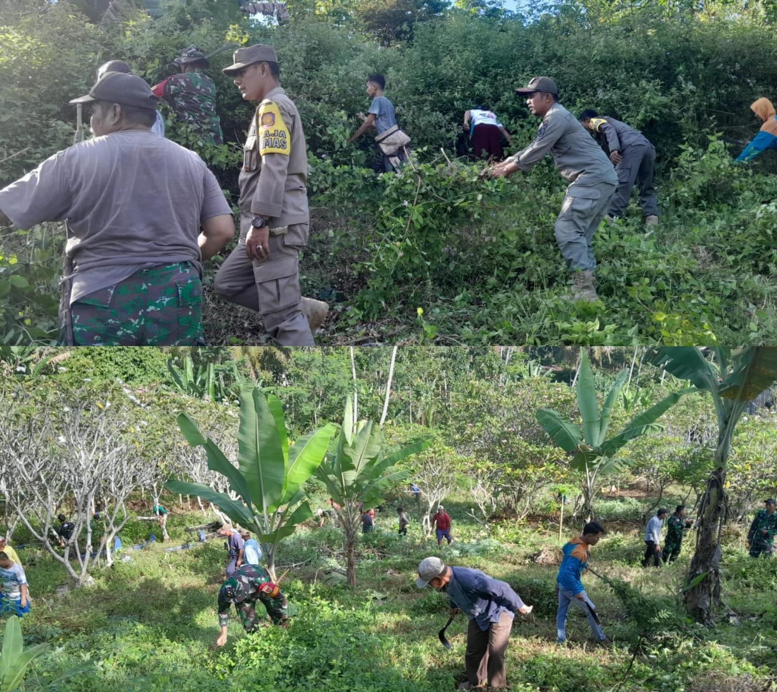 Kodim 0424/Tanggamus Bersama Karang Taruna, FKPPI, Satpol PP, Muspika dan Aparatur Pekon Membersihkan TPU (Tempat Pemakaman Umum) Pekon Pardasuka Kec. Pardasuka Kab. Pringsewu