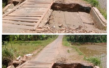 Gorong-Gorong Amblas di Jalan Cabang Jaya, Warga Pekon Mekar Jaya Minta Perhatian Pemkab Lampung Barat