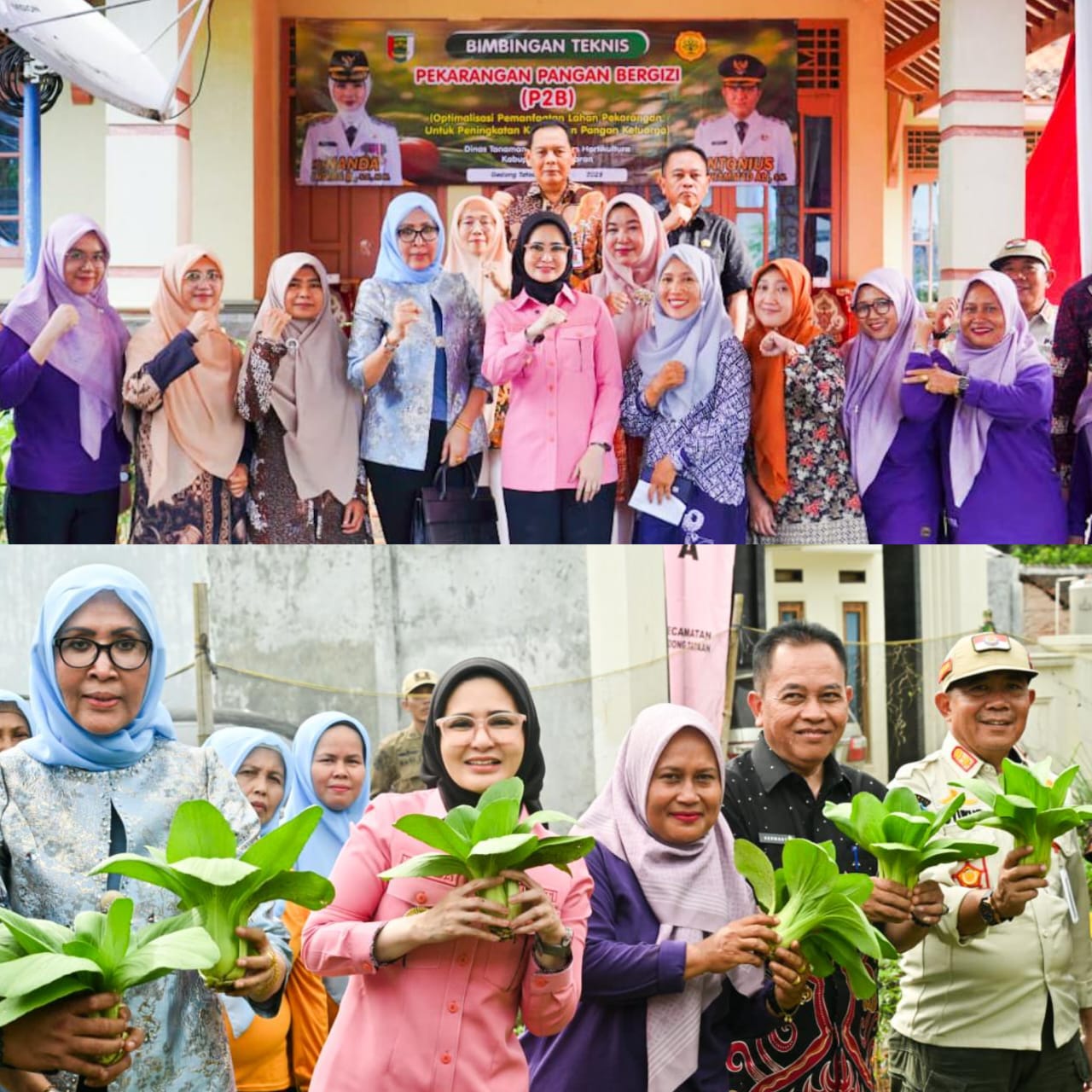 Bupati Dorong KWT Optimalkan Pekarangan Untuk Ketahanan Pangan Keluarga