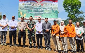 Polres Tanggamus Tanam Jagung Serentak Kuartal IV, Dukung Swasembada Pangan 2025