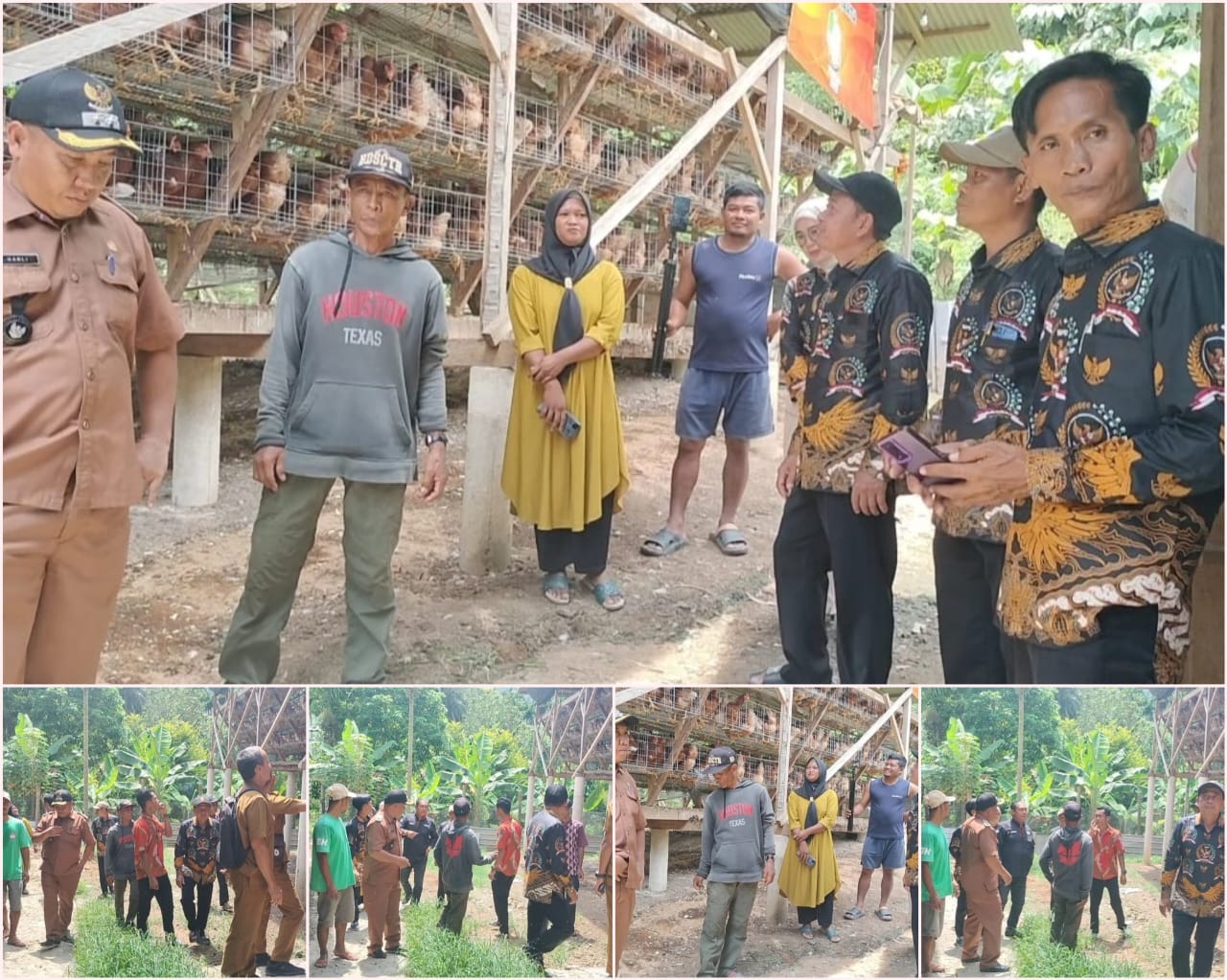 BUMDes Mitra Mandiri Desa Sanggi Fokus Kembangkan Budidaya Ayam Petelur untuk Dukung Ketahanan Pangan