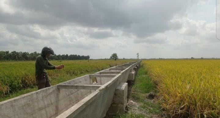 Gawat Dugaan Korupsi Proyek Irigasi Gantung Mesuji Senilai 97,8 Miliar Ditangani Kejagung