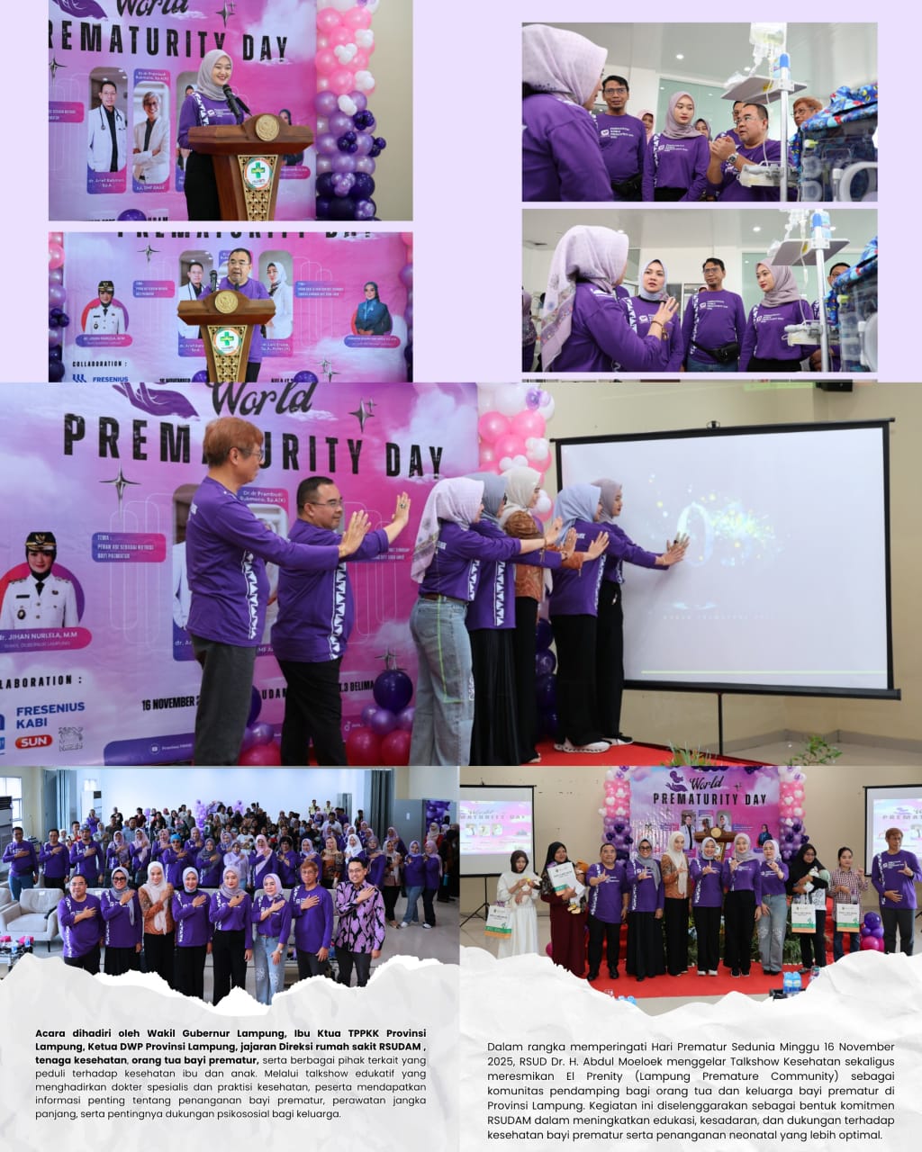 Peringatan Hari Prematur Sedunia & Peresmian Inovasi “El Prenity”RSUD Dr. H. Abdul Moeloek Provinsi Lampung