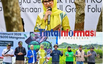 Bupati Nanda Indira Apresiasi Gerakan Lingkungan KOPRI PB PMII dalam Upaya Pelestarian Ekosistem Pesisir