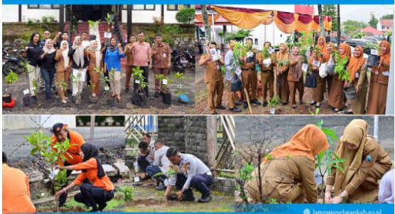 5.792 PPPK Paruh Waktu Lampung Selatan Tanam Pohon Serentak, Kampanye “Pohon Asuh” Gaungkan Gerakan Hijau Dari Birokrasi