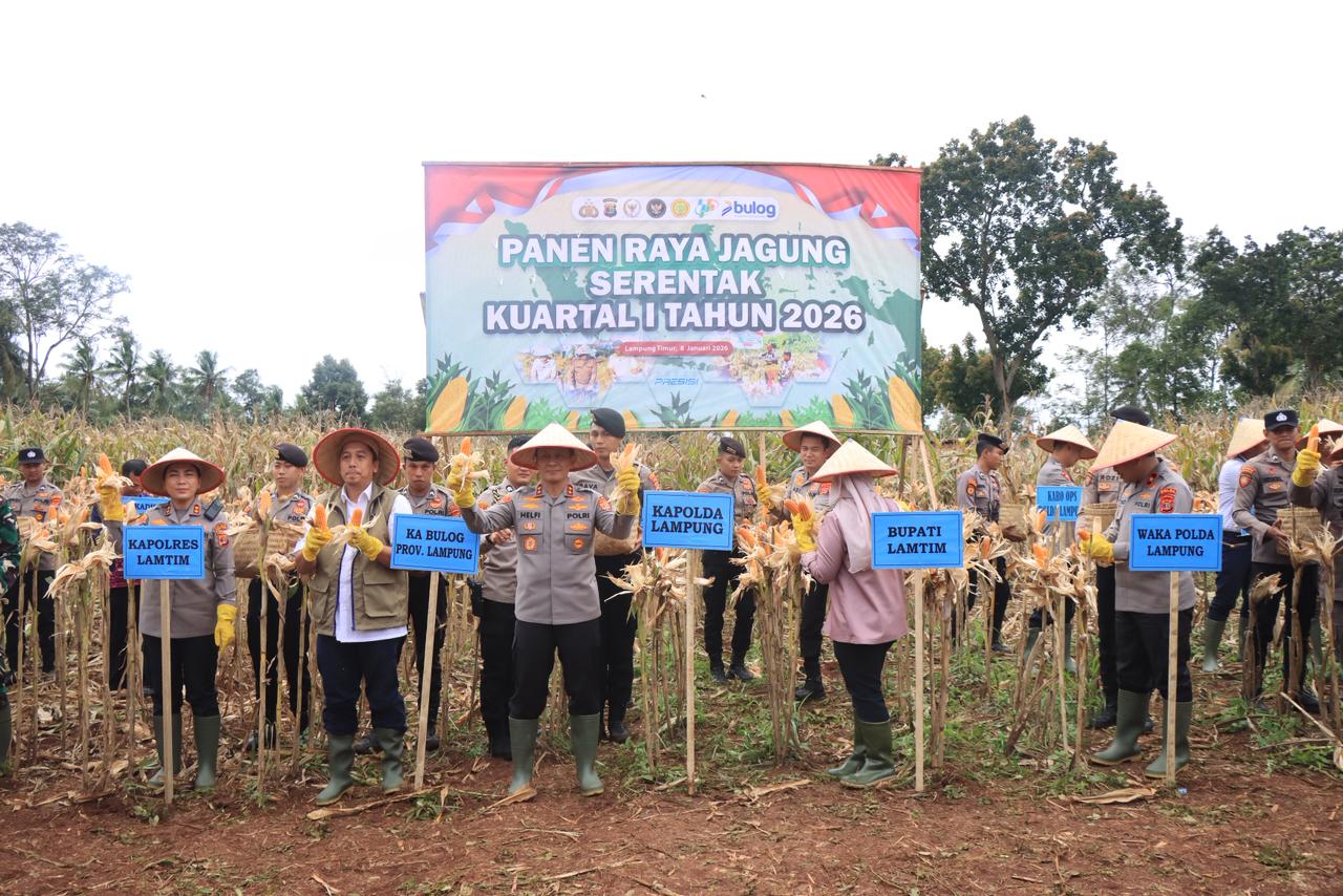 Kapolda Lampung Pimpin Panen Raya Jagung Kuartal IV, Produksi Tembus 86 Ribu Ton