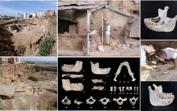 Fosil Pertama dari Periode Evolusi Manusia Ditemukan di Maroko