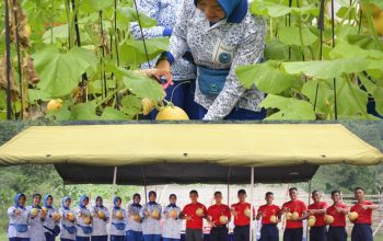 Panen Melon Batalyon Infanteri 7 Marinir Di Marines 7 Ranch