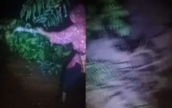 Hujan Deras Picu Longsor, Jalan Poros Sinar Jawa–Air Naningan Tertutup Total